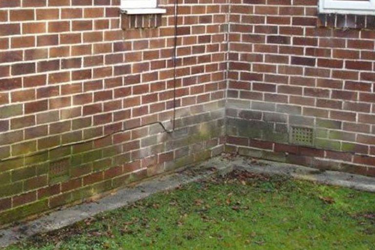 Rising Damp Treatment We Can Fix Your Rising Damp Problem